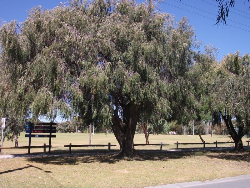 3 Crater Place, Rockingham WA 6168