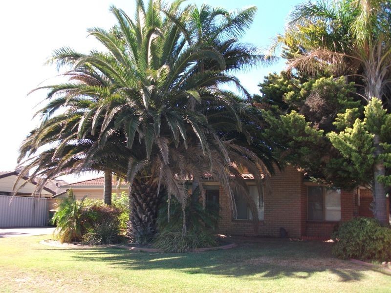 17 Glenway Loop, Cooloongup WA 6168