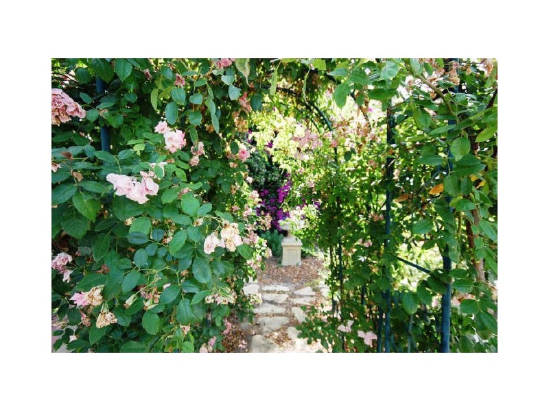 54 Dane Street, East Victoria Park WA 6101