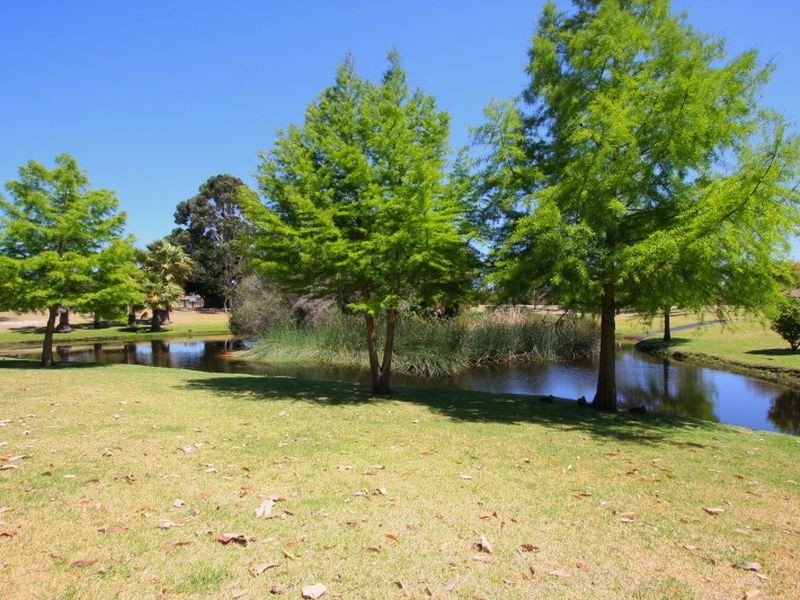 20 Sander Court, Bentley WA 6102