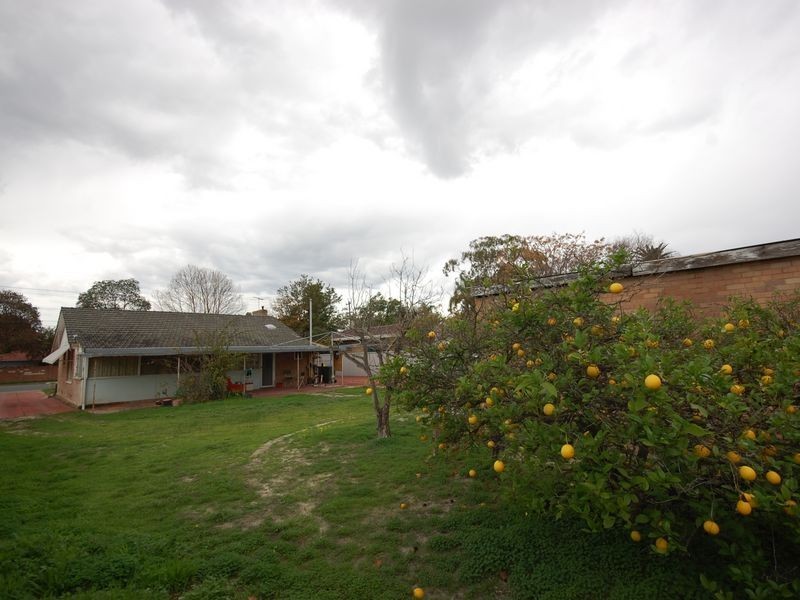 63 Berwick Street, Victoria Park WA 6100