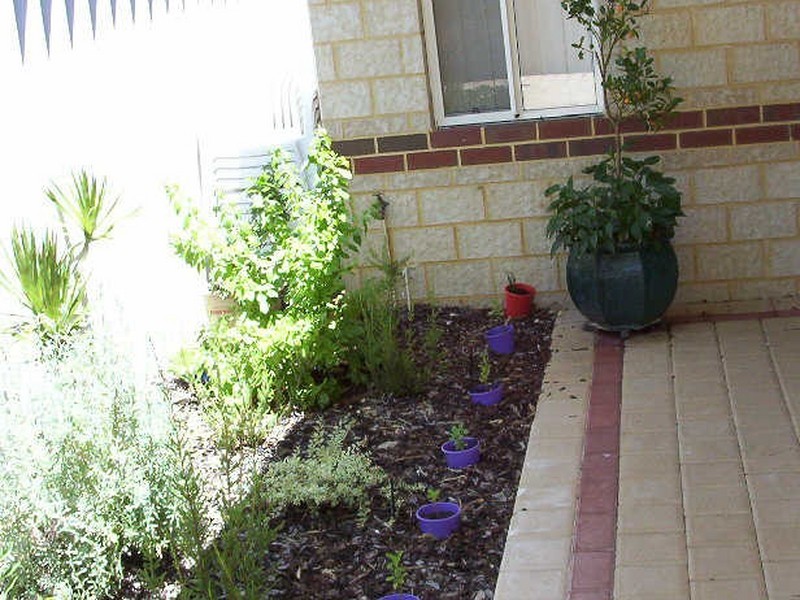 37b Hooson Way, Wilson WA 6107