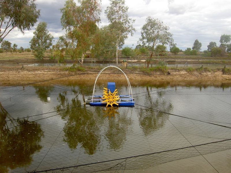 899 Elliot Road, Serpentine WA 6125