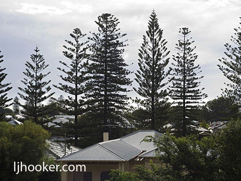 15 Federal Street, Cottesloe WA 6011