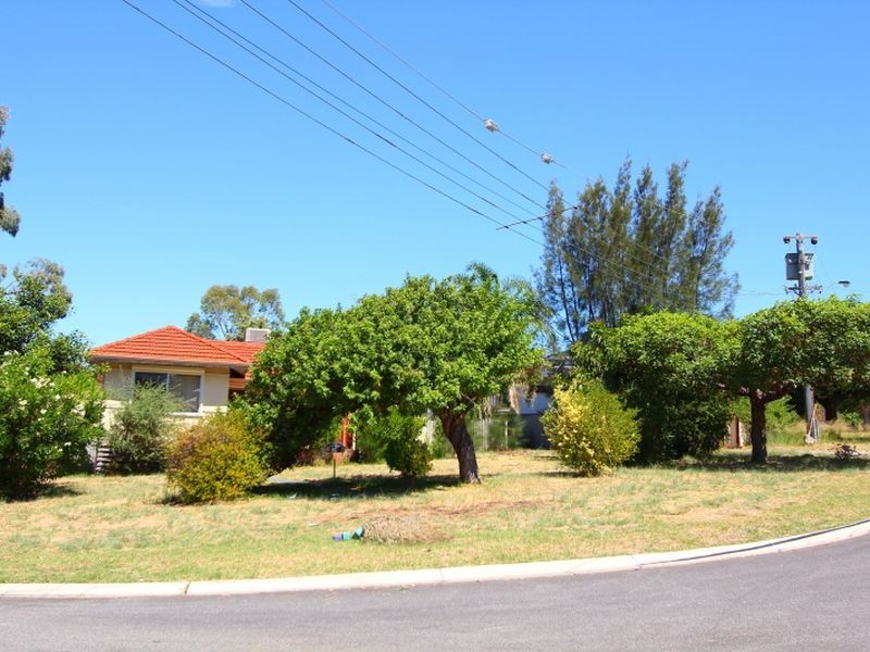 39 Butler Street, Willagee WA 6156