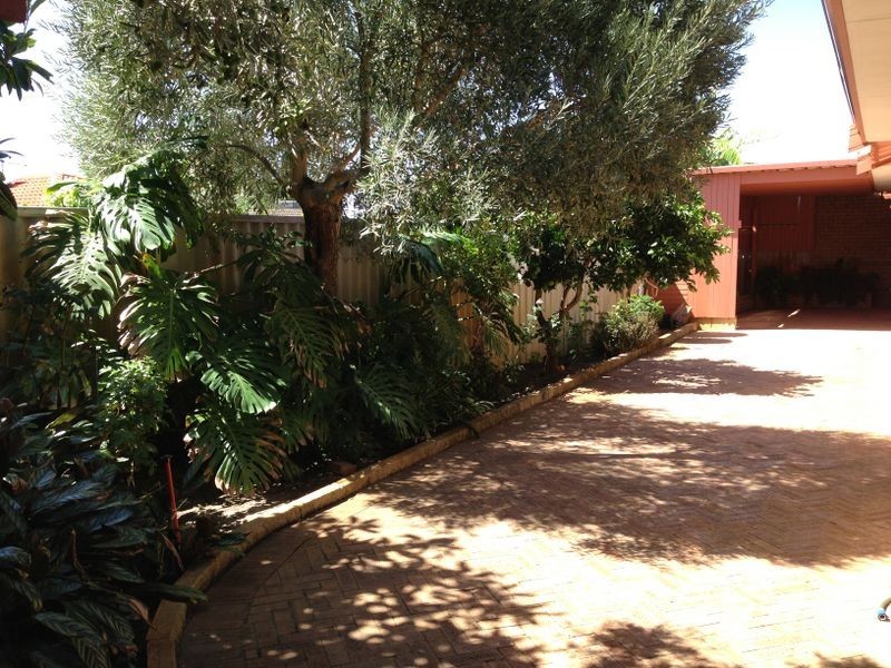 16 Lavender Court, Dianella WA 6059