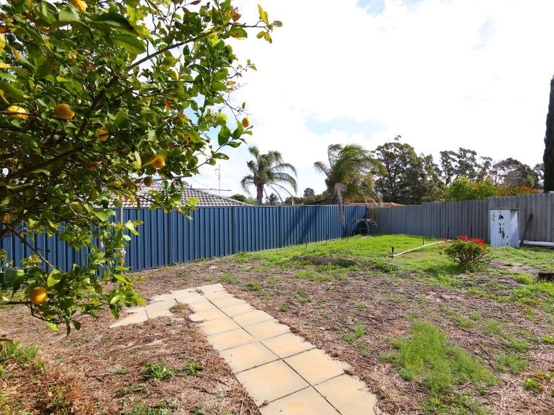 14 Mosey Court, Bull Creek WA 6149