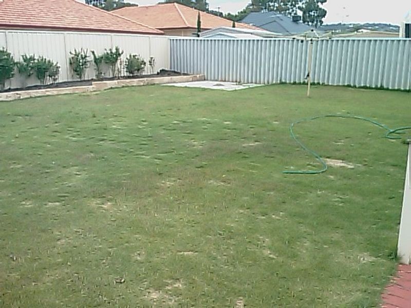 127 Fruit Tree Crescent, Forrestfield WA 6058