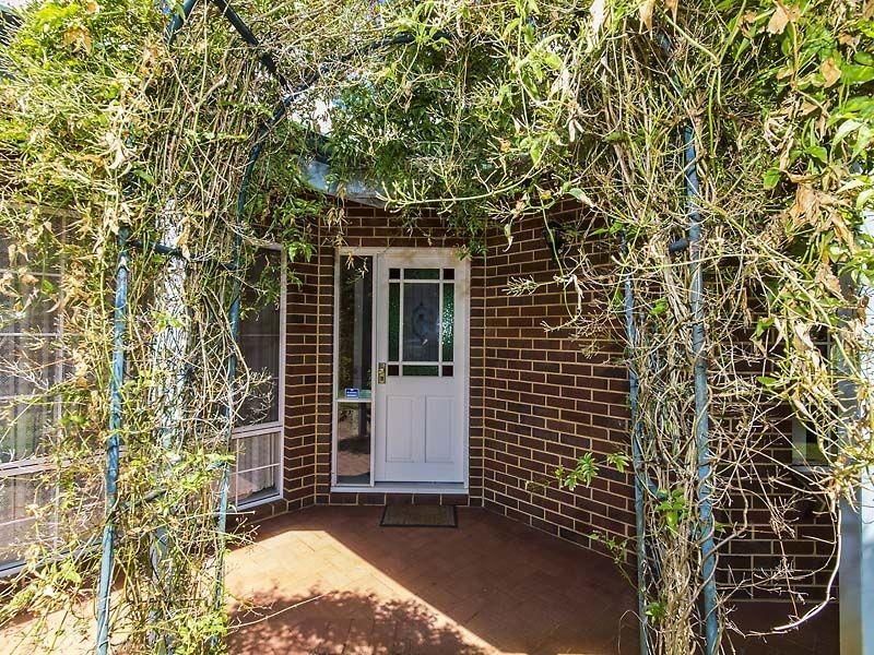 31 Bridgeman Way, Baldivis WA 6171