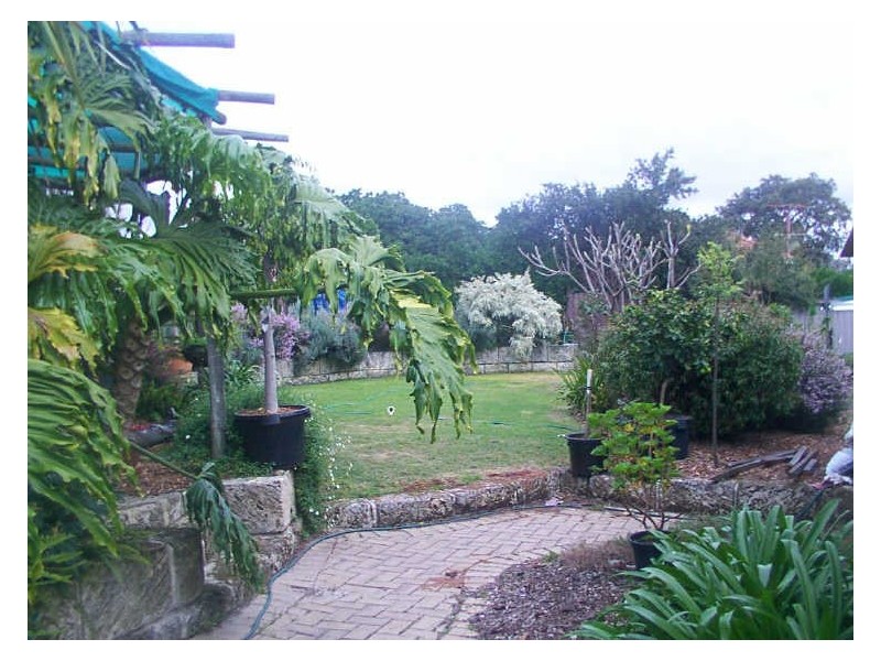 13 Blechynden Street, St James WA 6102