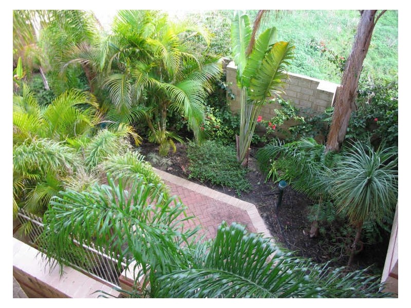 3/30 Bronte Street, East Perth WA 6004