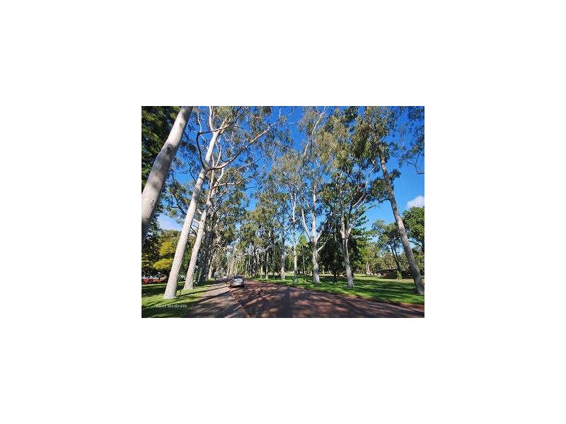 3/47 Malcolm Street, West Perth WA 6005