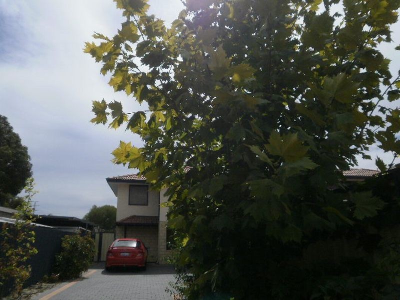 2/4 Lloyd Street, Cannington WA 6107