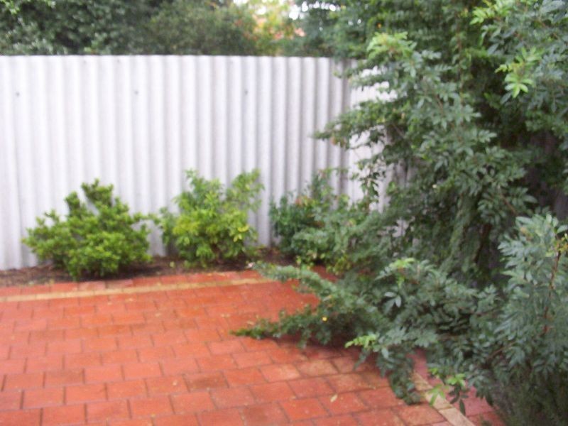 61C Star Street, Carlisle WA 6101