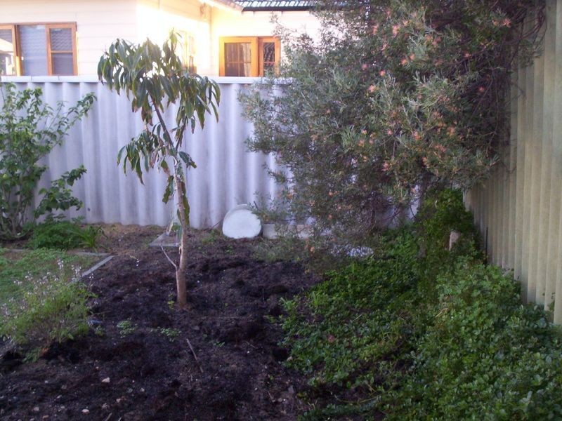 B/156 Westminster Street, East Victoria Park WA 6101