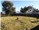 47 Morrison Road, Baskerville WA 6056