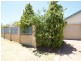 7/6 Wyong Road, Bentley WA 6102