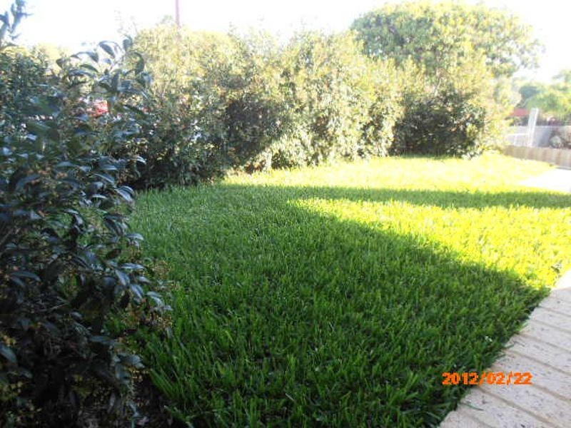 1/11 Duke Street, Bentley WA 6102