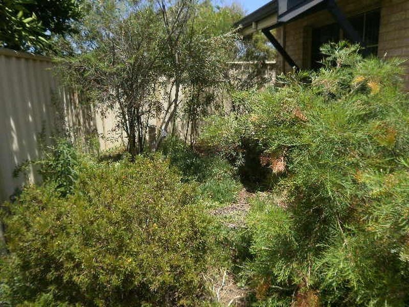 4/169 Swansea Street, East Victoria Park WA 6101