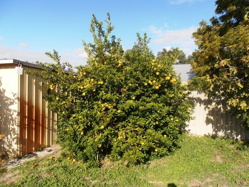 33 Hubert Street, East Victoria Park WA 6101