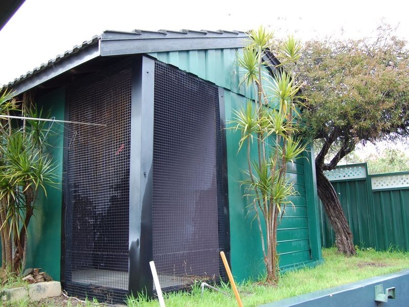 50 Maurice Street, Embleton WA 6062