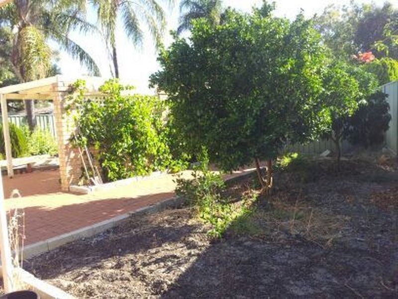 19 Crossford Street, Thornlie WA 6108