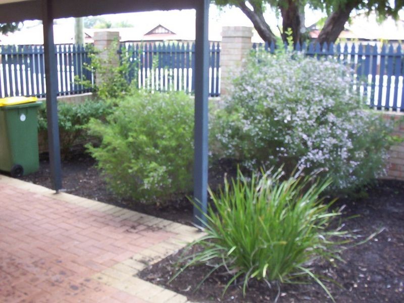 1/60 Palmerston Street, St James WA 6102