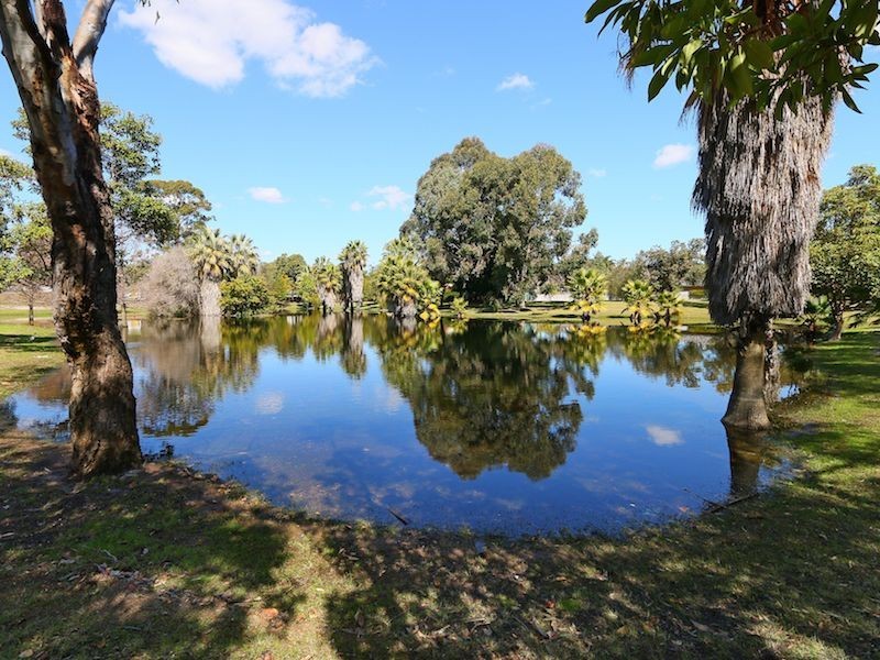 24 Boulder Street, Bentley WA 6102