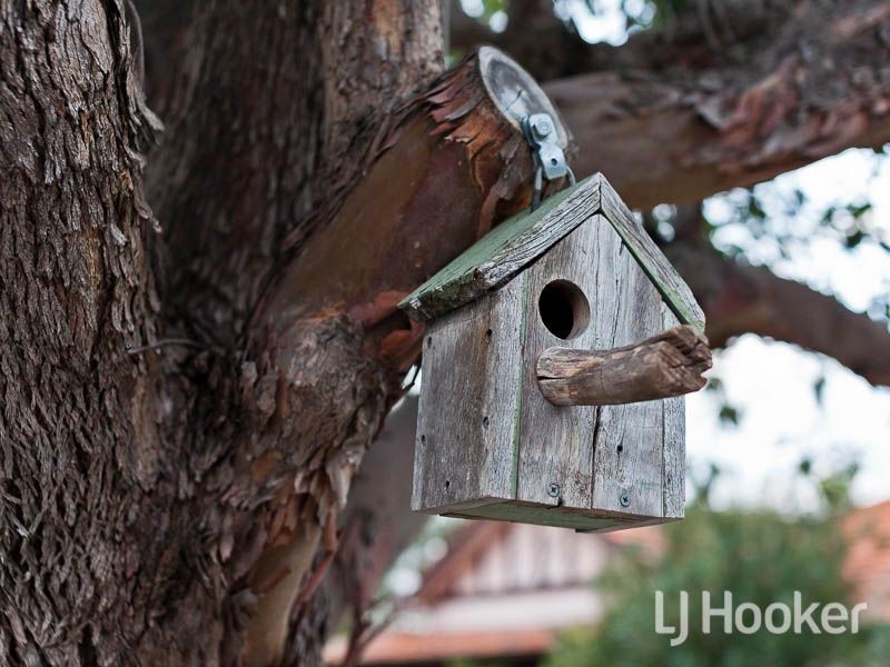 20A Balmoral Street, East Victoria Park WA 6101