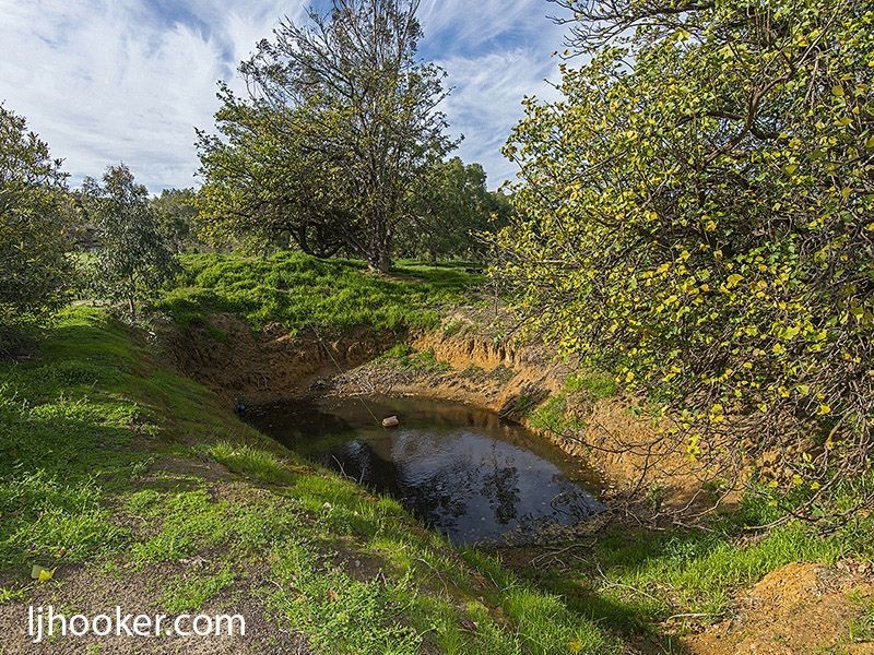 109 Loton Road, Millendon WA 6056