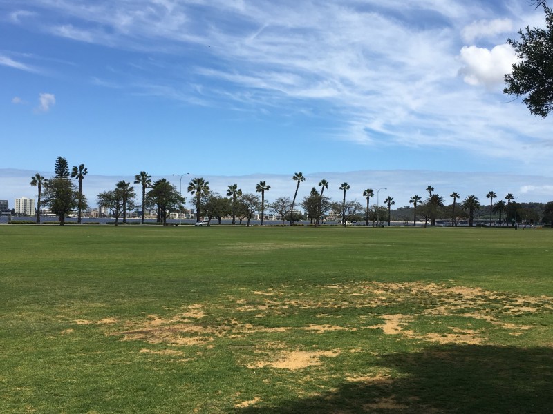 28/114 Terrace Road, Perth WA 6000