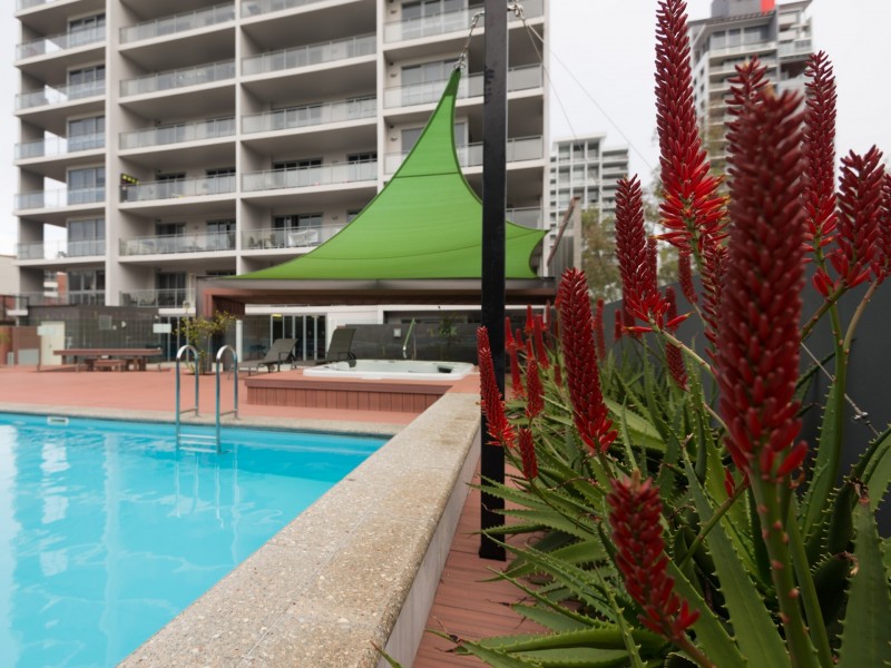 102/148 Adelaide Terrace, East Perth WA 6004