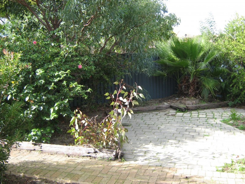 15 Maude Street, Victoria Park WA 6100