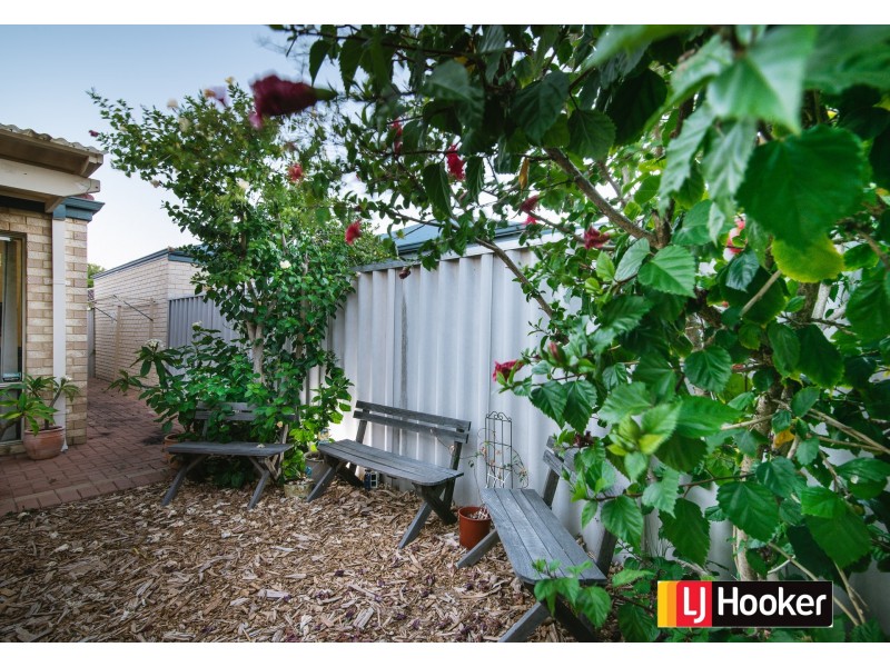 4/36 Queen Street, Bentley WA 6102