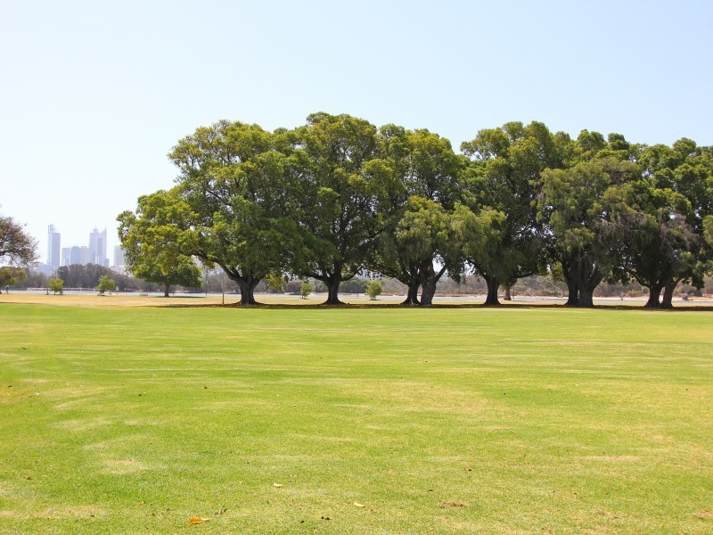 7/32 Garland Street, Victoria Park WA 6100