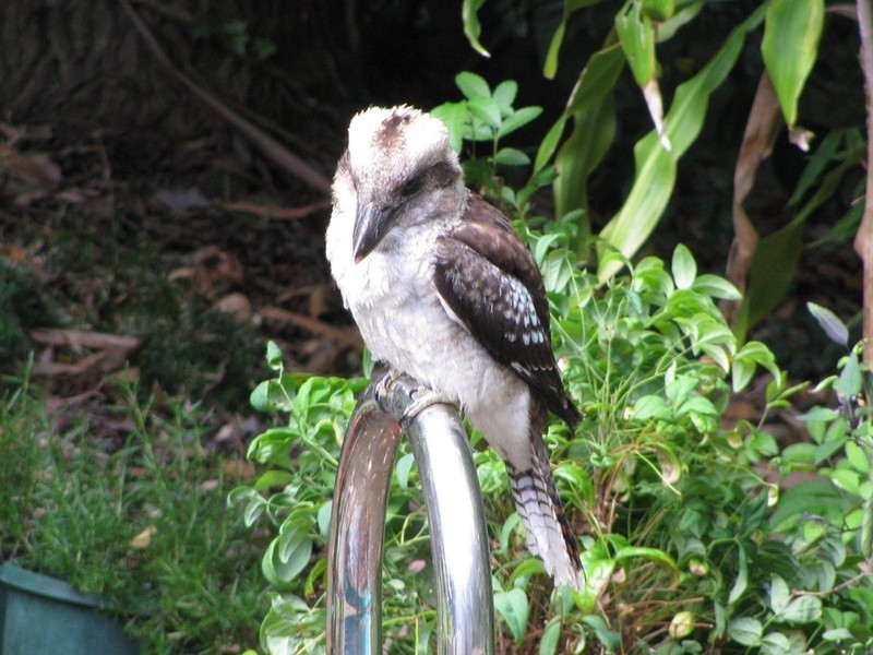 70 Spring Road, Kalamunda WA 6076