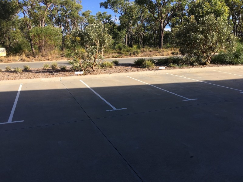 16/16 Sustainable Avenue, Bibra Lake WA 6163