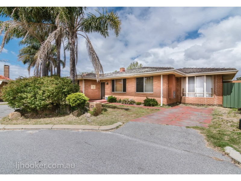 11 Jenever Place, Bentley WA 6102