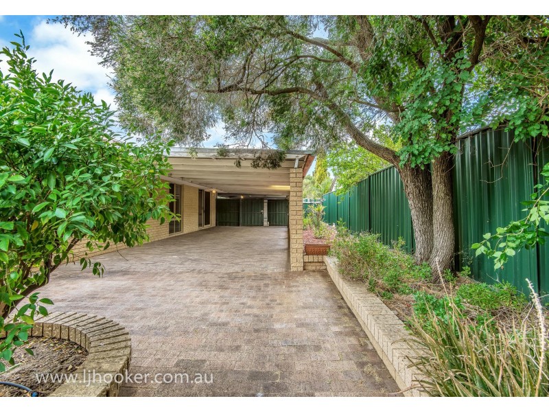 6 Williamson Lane, Stratton WA 6056