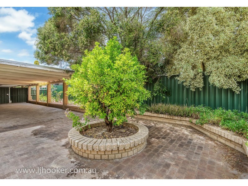 6 Williamson Lane, Stratton WA 6056