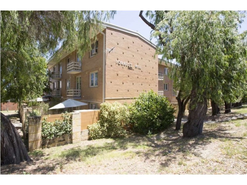 101/583 William Street, Mount Lawley WA 6050