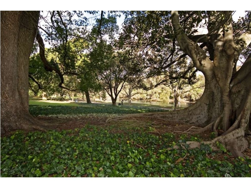 101/583 William Street, Mount Lawley WA 6050