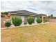 5 Archdeacon Street, East Victoria Park WA 6101