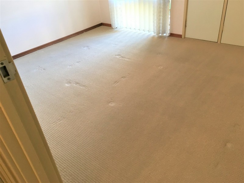 19/9-11 Mallard Way, Cannington WA 6107