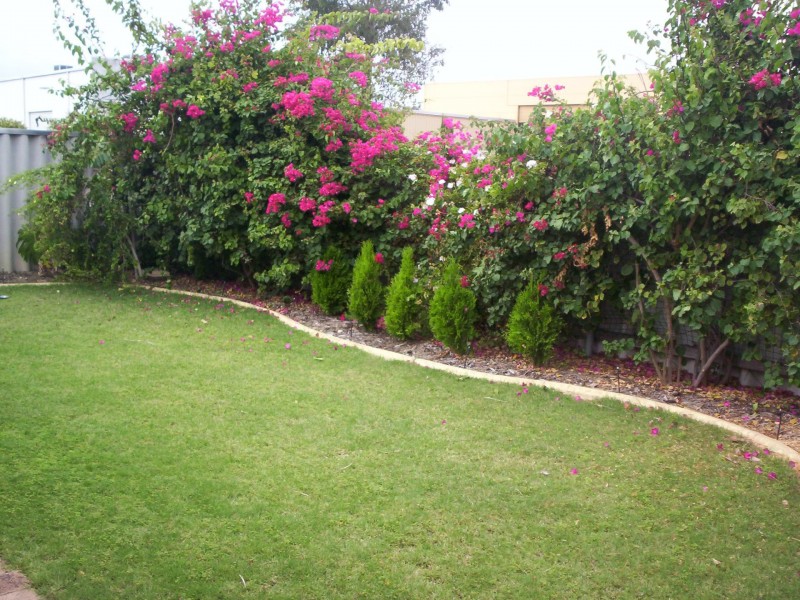 19/9-11 Mallard Way, Cannington WA 6107