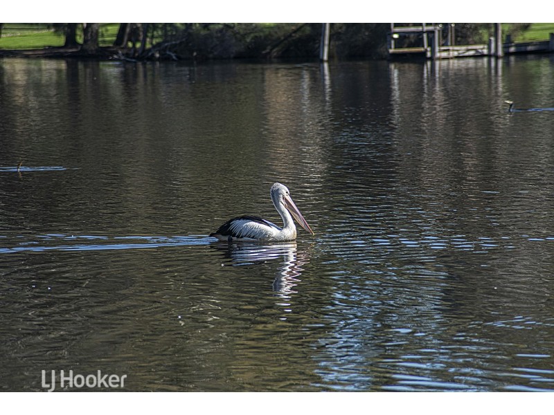 131 River View Avenue, South Guildford WA 6055