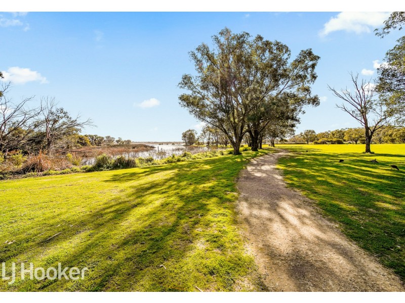 99/16 Leeder Street, Glendalough WA 6016