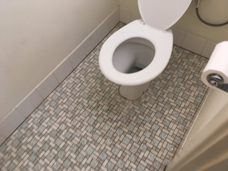 29 Coolgardie Street, Bentley WA 6102