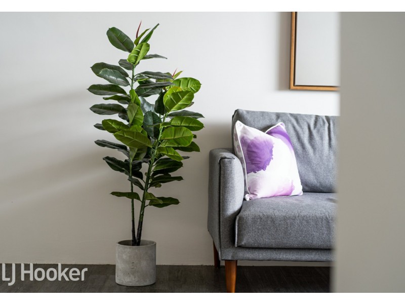 59/16 Leeder Street, Glendalough WA 6016