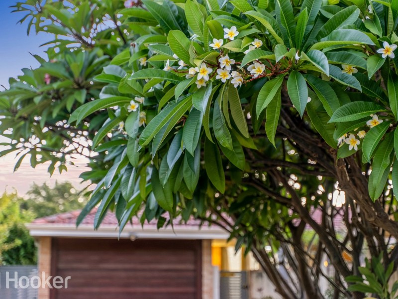 126A Williamson Avenue, Cloverdale WA 6105